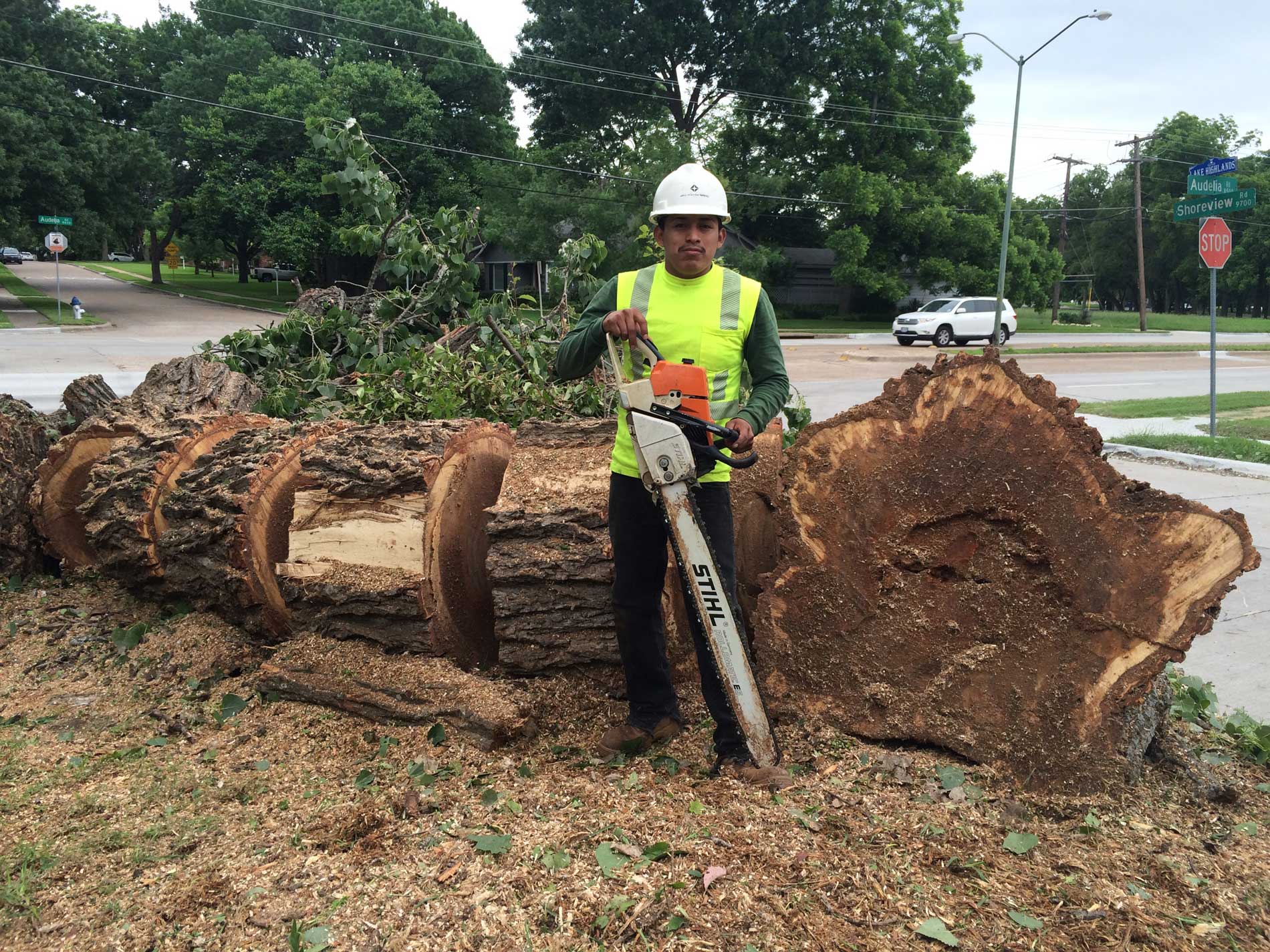 Dallas, TX Tree Removal